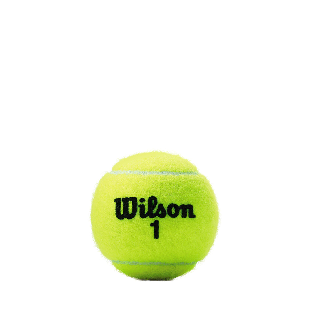 CHAMP EXTRA DUTY 3-BALL 24 CAN CASE TENNIS BALLS - WilsonME