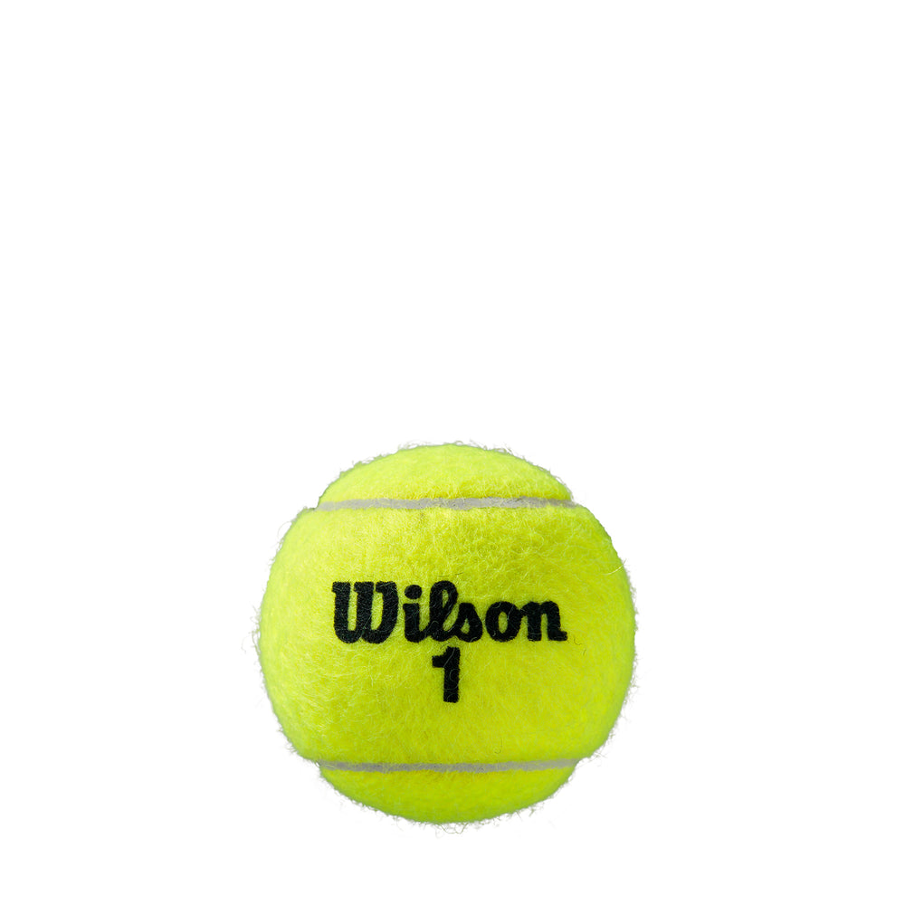 ROLAND GARROS ALL COURT 3-BALL 24 CAN CASE TENNIS BALLS - WilsonME