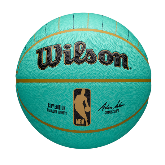 2024 NBA Team City Collector Ball Charlotte Hornets